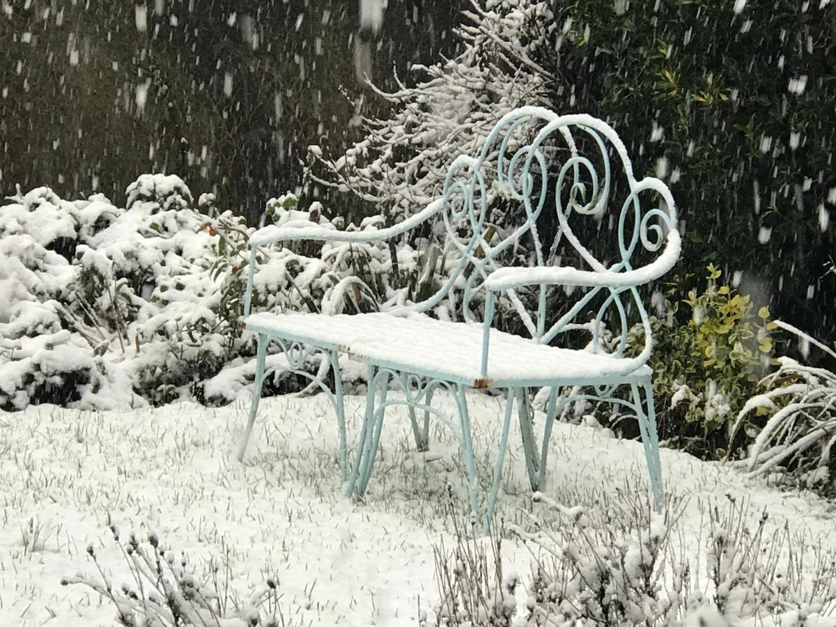 Spring Gardens B&B Wadebridge Bagian luar foto