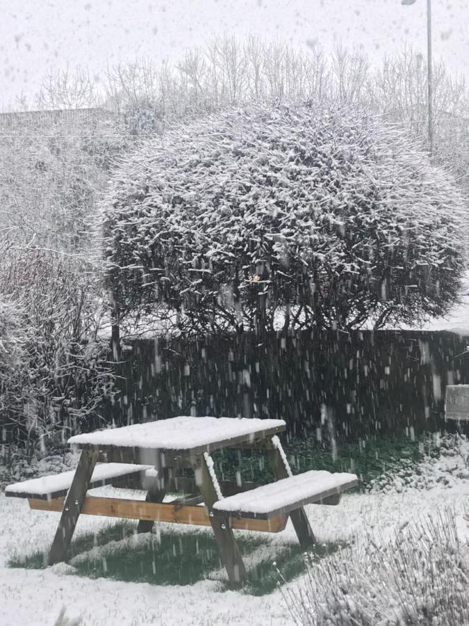 Spring Gardens B&B Wadebridge Bagian luar foto